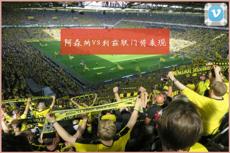 阿森纳vs利兹联门将表现