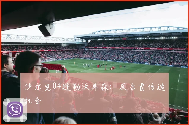 沙尔克04迎勒沃库森:反击首传造机会